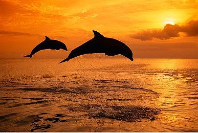 EA宣布与尤文图斯建立新合作关系 “斑马军团”将重返《FIFA 23》