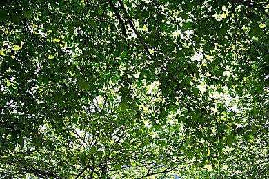 《尼尔：机械纪元》2B乱入手游版《歧路旅人》